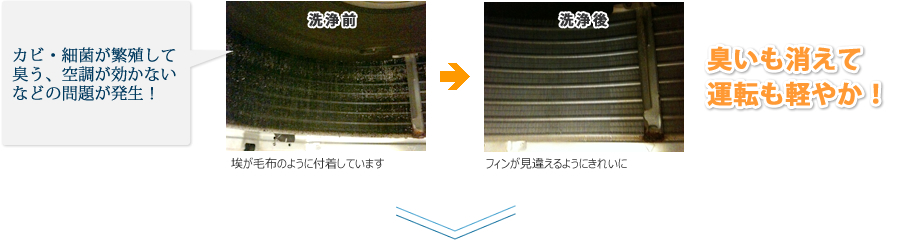 洗浄イメージ